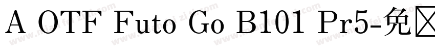 A OTF Futo Go B101 Pr5字体转换